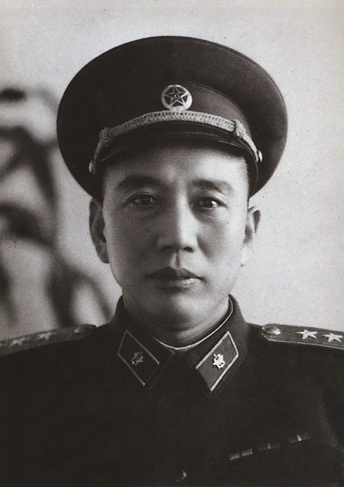 王震为何只是上将-王震上将的后代现在的职务