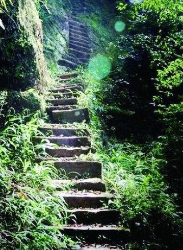 爱情天梯 主人公离世 网友:这才是中国式爱情 -