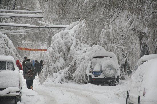 东北内蒙古雪灾+大雪强度50年一遇(图)