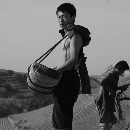 苦役般的写作人生:六年抵死写作耗尽一生精血