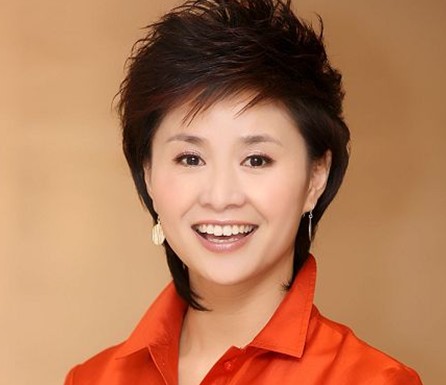 徐俐欧阳智薇杨丹 数央视荧幕上的湘妹子们/图