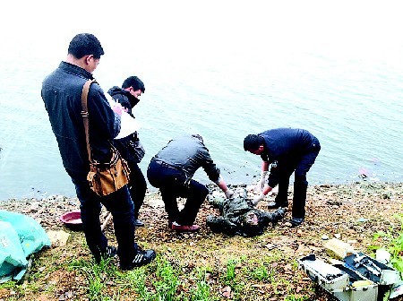 市民看钓鱼发现一浮尸死者胸前有龙形文身图