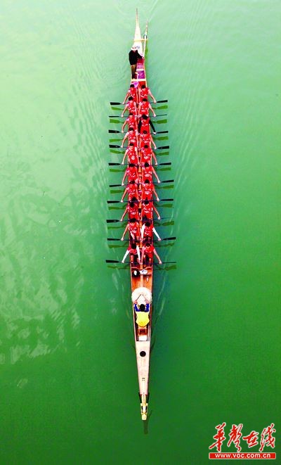 长沙龙舟队遭多地约战 招募龙舟力士 征战 全国