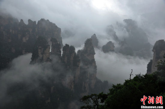张家界景区降大雨出现“悬浮山”云海奇景