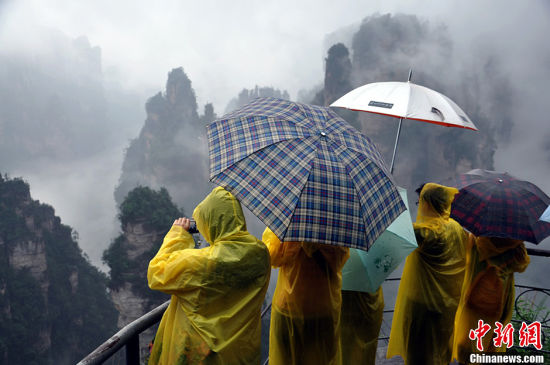 游人雨中赏景