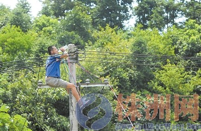 再靠近,我就跳下去 男子爬上10米电线杆自杀 -