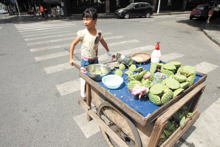 11岁<em>女孩</em>长沙街头卖<em>莲蓬</em>