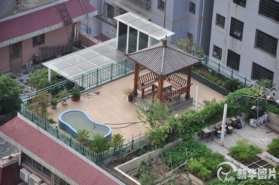 娄底小区屋顶现空中花园建有凉亭游泳池