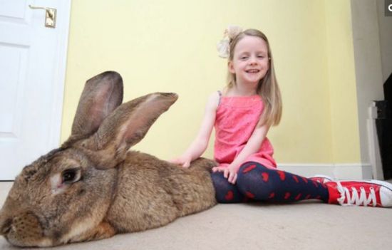 小萝莉，你太抢镜啦。