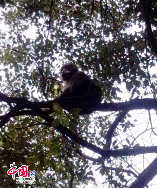 点击图片进入下一页