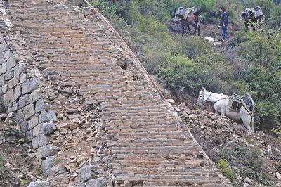 探访长城重修:城砖靠骡队驮上山 不用水泥用白灰