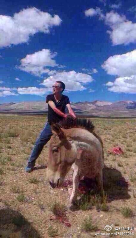 两名虐杀西藏野驴嫌疑人被公诉 曾发虐杀照片