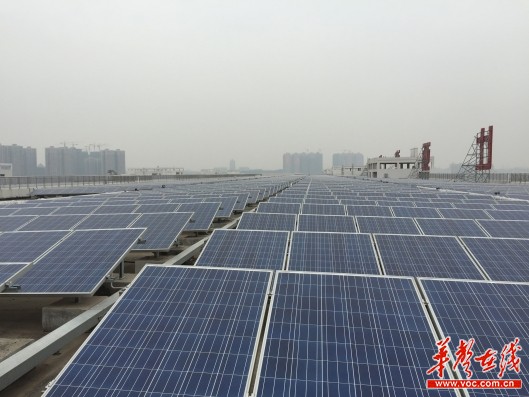 我省光伏产业突破发展 2020年装机容量达1.5GW