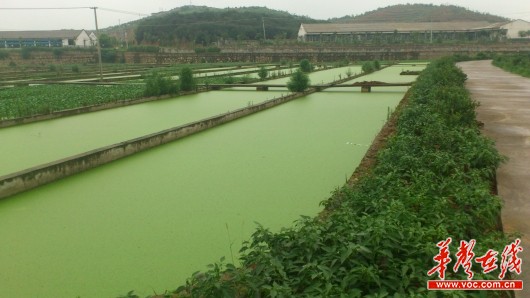 畜禽养殖污染不再愁 合同环境<em>服务</em>送<em>上门</em> - 活