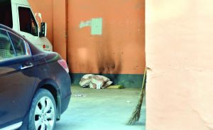 一处室外停车场,里面留有外地务工人员留下的被褥