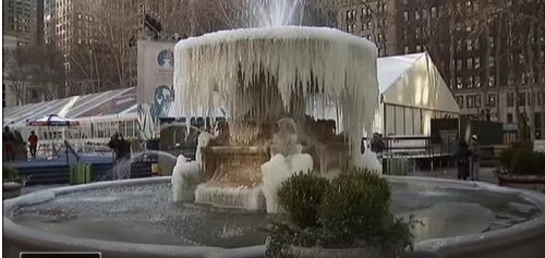 加拿大美国遭遇极寒天气企鹅也禁止户外活动