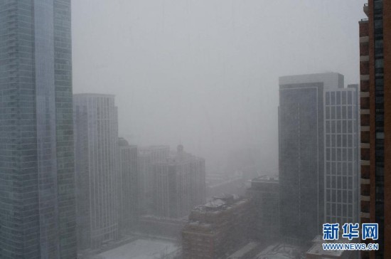 加拿大美国遭遇极寒天气企鹅也禁止户外活动