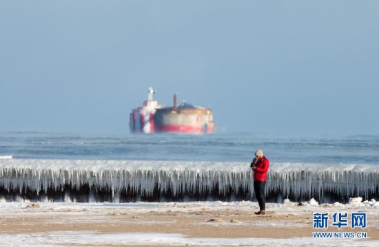 加拿大美国遭遇极寒天气企鹅也禁止户外活动