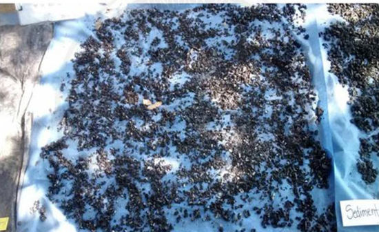 在焚烧学生地点找到的沉积物(网页截图)