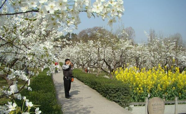 春天来了 欢迎来剑门蜀道赏花