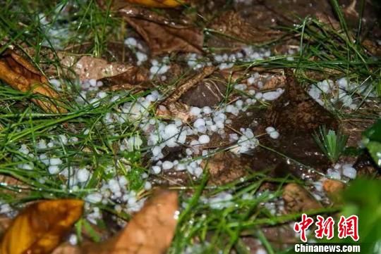 云南永善县遭冰雹“袭击”上百人受灾
