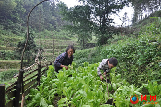六一儿童节  肿瘤  关爱