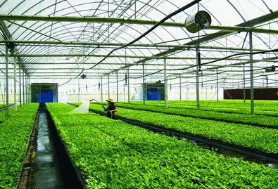 光财政丨开展扶持农业优势特色产业规划编制工