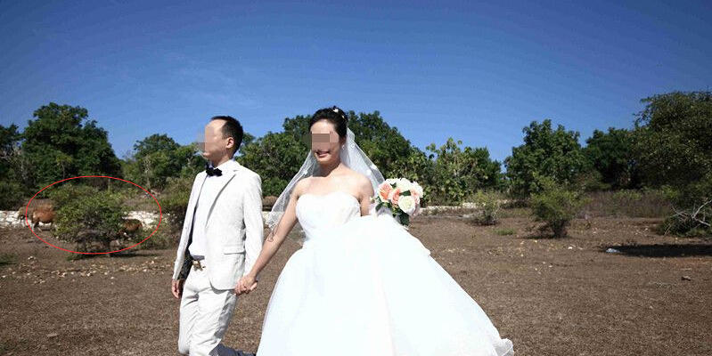 湖南公园上演水上麻将大赛 美女着比基尼参赛(第八页) - 焦点图 - 社会频道 - 华声在线