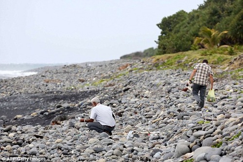 留尼汪岛发现的疑似马航MH370飞机窗户