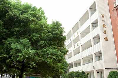 小学,初高中类 - 学校品牌教育能力调查 - 华声在线