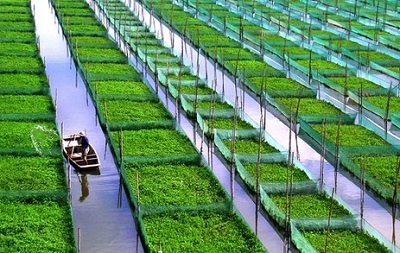 湖南环洞庭湖国家现代农业科技示范区获批