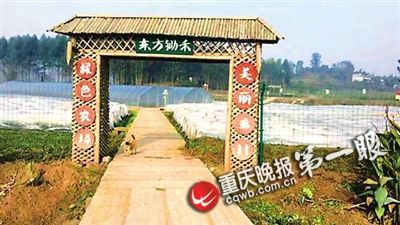 ▲宠物公墓项目地