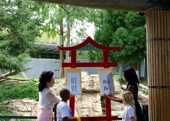 中美第一夫人共看熊猫！当中国牡丹遇到美国玫瑰