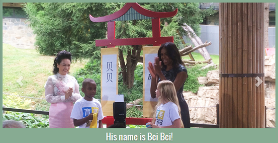 中美第一夫人共看熊猫！当中国牡丹遇到美国玫瑰