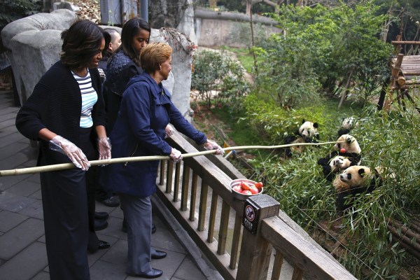 中美第一夫人共看熊猫！当中国牡丹遇到美国玫瑰