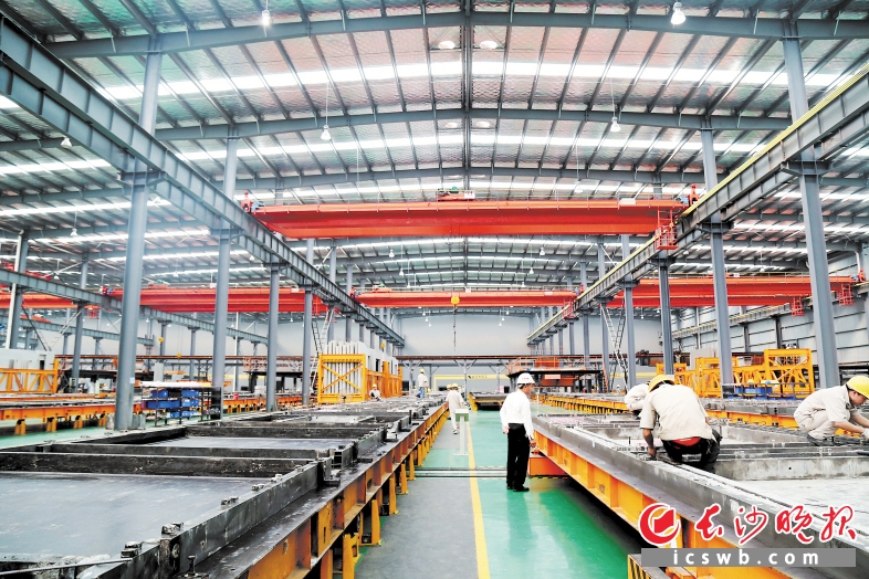 ↑在远大住工二期，6条生产线正在全线运作。均为长沙晚报通讯员段欣妤 摄