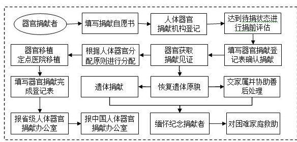 器官捐赠流程