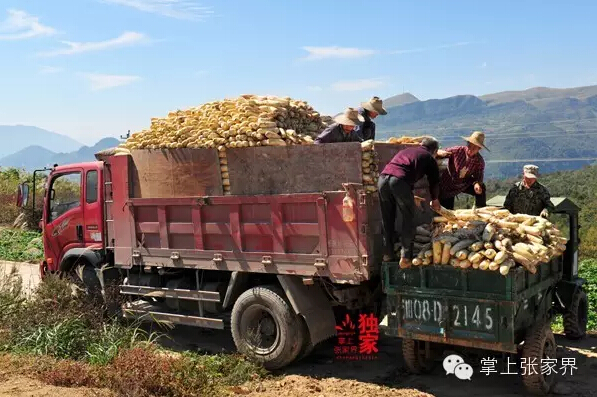 桑植沙塔坪有多少人口_...桑植-陈家河-沙塔坪-芭茅溪-天平山 第二天:天平山(3)