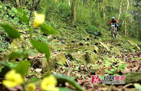 自行车速降爱好者从赛道骑过。