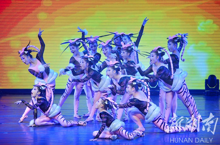 三湘群星奖颁奖晚会暨优秀节目展演,88件作