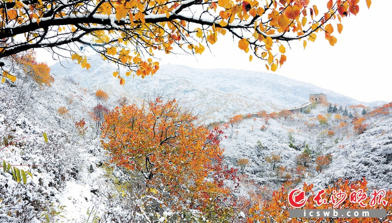 这是11月6日拍摄的京郊怀柔河防口古长城雪景。当日，北京市降下今冬第一场大雪。 新华社发