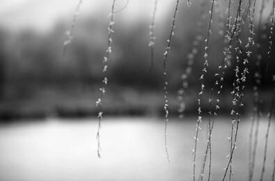 2020年湖南gdp祁阳_湖南祁阳张继聘(2)