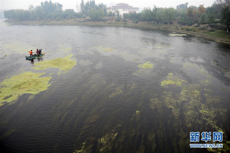 （新华全媒头条·水之殇·图文互动）（4）水之殇，谁之过？——京津冀等五地流域考核差评现场调查 