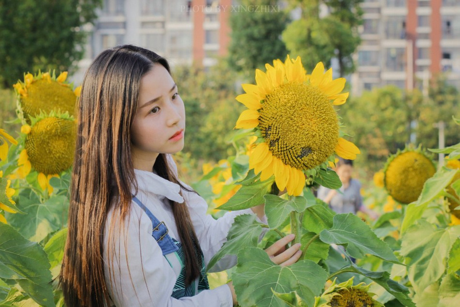 南林大校花晒唯美写真 清冷气质酷似小龙女