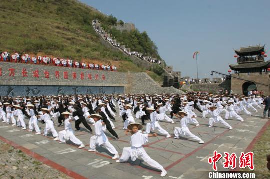 世界围棋巅峰对决赛用武童为子。　组委会供图　摄