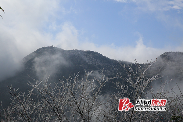 11月25日，南岳衡山迎来今年入冬的首次雾凇景观。