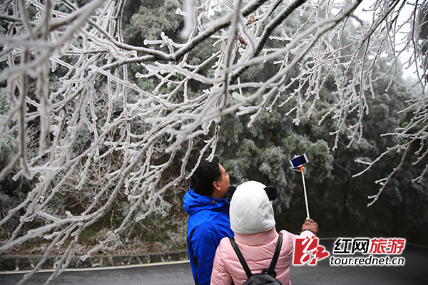 11月25日，南岳衡山迎来今年入冬的首次雾凇景观。