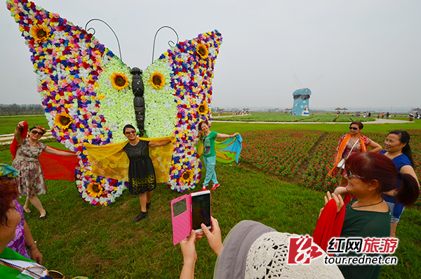 游客争相在枫林花海的蝴蝶景观前合影留念。
