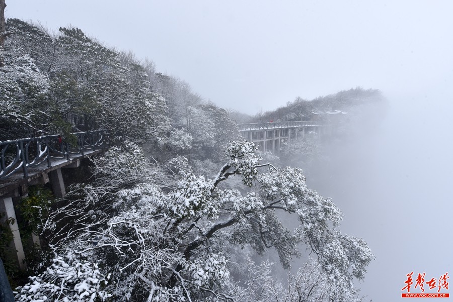 [张家界]天门山迎湖南今冬首场雪/组图