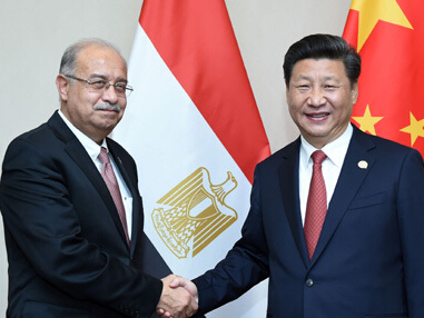习近平会见埃及总理伊斯梅尔
